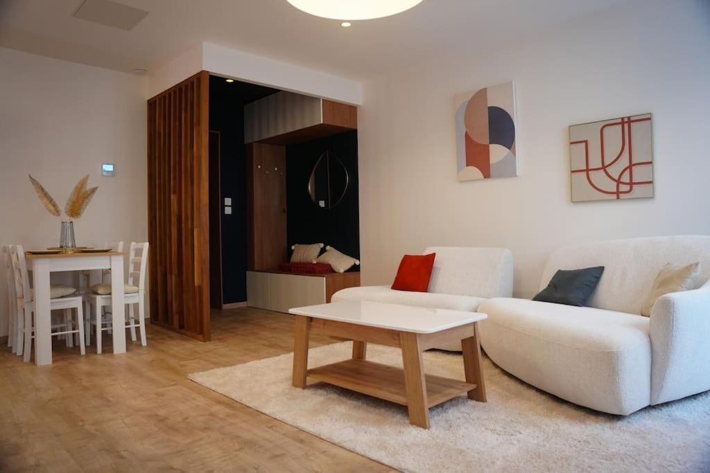 Bel Appartement Centre-Ville Сент-Этьен Экстерьер фото